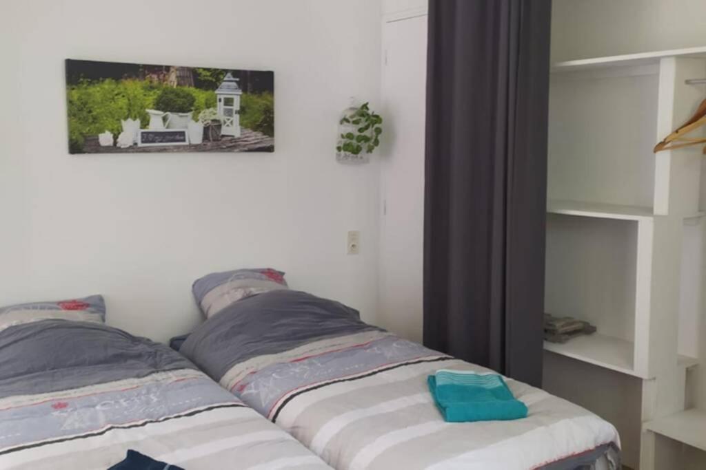 12 Rdc Appartement 2 Chambres Jardin Terrasse Plonéour-Lanvern Dış mekan fotoğraf